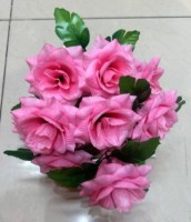 25F003